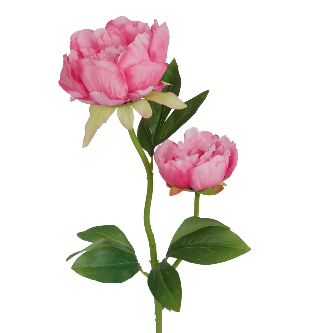 PIVOINE artificielle 75 cm