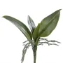 Feuilles de PHALAENOPSIS artificielle  21 cm