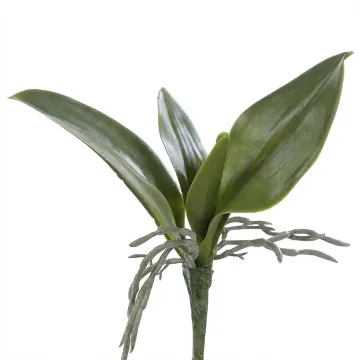Feuilles de PHALAENOPSIS artificielle  21 cm