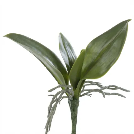 Feuilles de PHALAENOPSIS artificielle  21 cm