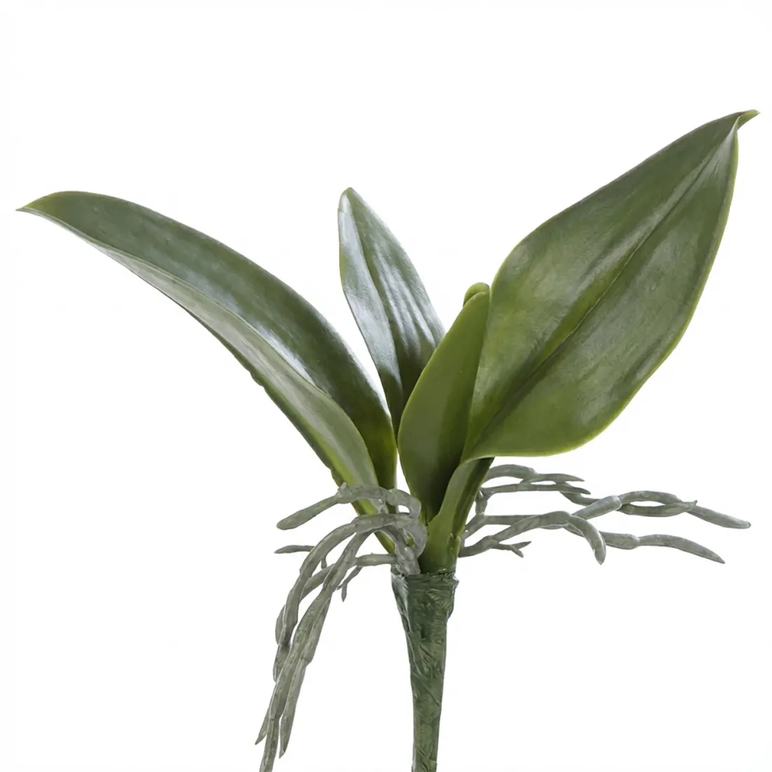 Feuilles de PHALAENOPSIS artificielle  21 cm