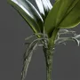 feuille de PHALAENOPSIS artificielle  33 cm