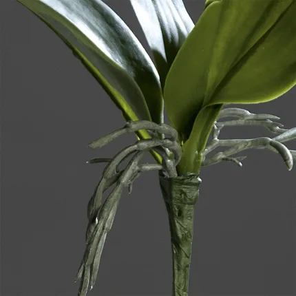 feuille de PHALAENOPSIS artificielle  33 cm