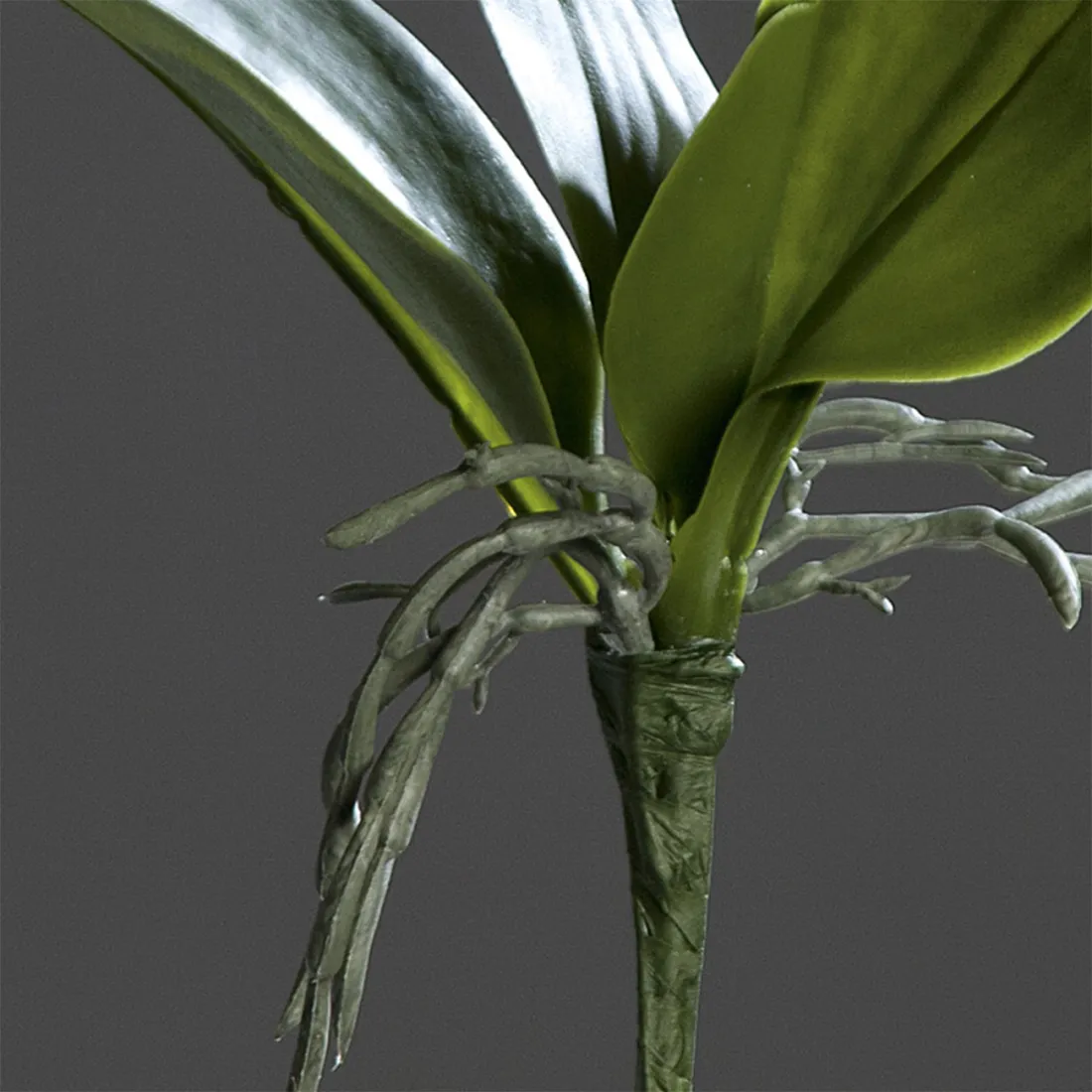 feuille de PHALAENOPSIS artificielle  33 cm