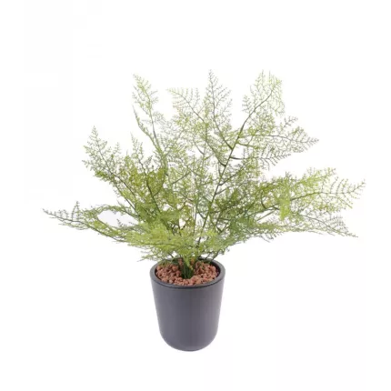 ASPARAGUS artificiel 50 cm