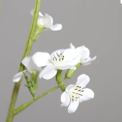 SPIREE artificielle 136 cm blanche - fleurs et branche