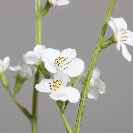 SPIREE artificielle 136 cm blanche - fleurs