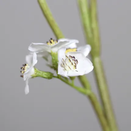 SPIREE artificielle 136 cm blanche - fleurs détails