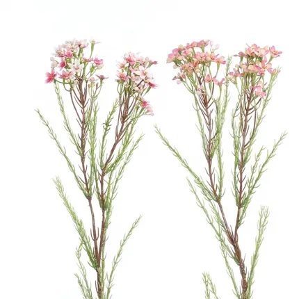 WAX artificiel ou fleur de cire 60 cm - 2 couleurs rose et rose blanc