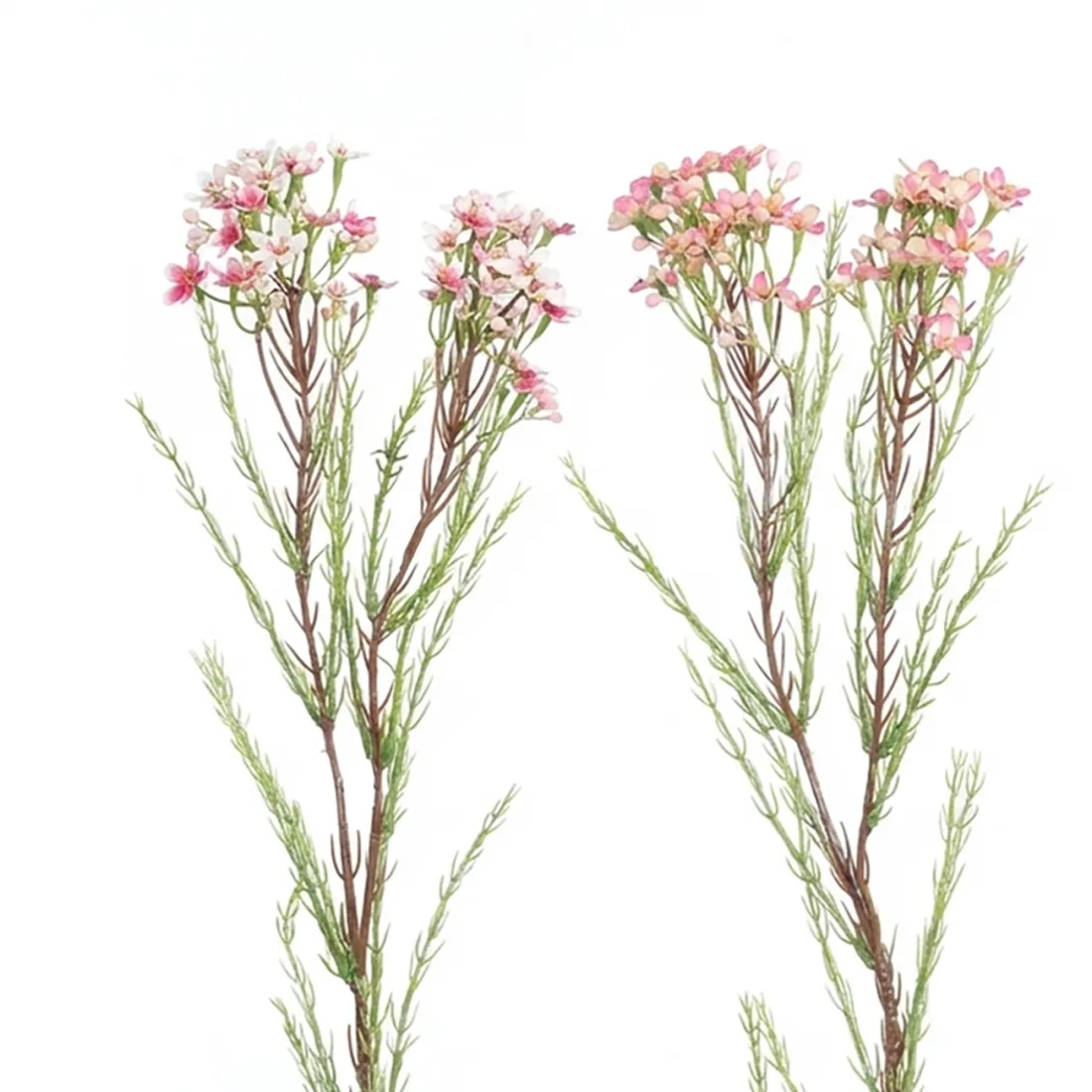 WAX artificiel ou fleur de cire 60 cm - 2 couleurs rose et rose blanc