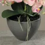 composition Phalaenopsis ORCHIDEE artificielle EN POT 35 cm - pot