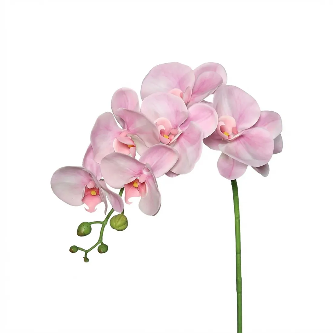 ORCHIDEE phalaenopsis artificielle 80 cm verte