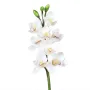ORCHIDEE Cymbidium artificielle 80 cm blanche
