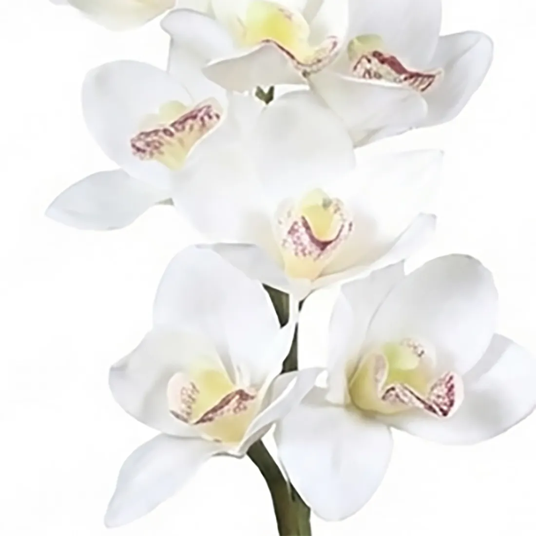 ORCHIDEE Cymbidium artificielle 80 cm blanche - détails fleurs