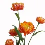 IMMORTELLE sèche artificielle ou Hélichryse artificielle 70 cm orange - détail fleurs