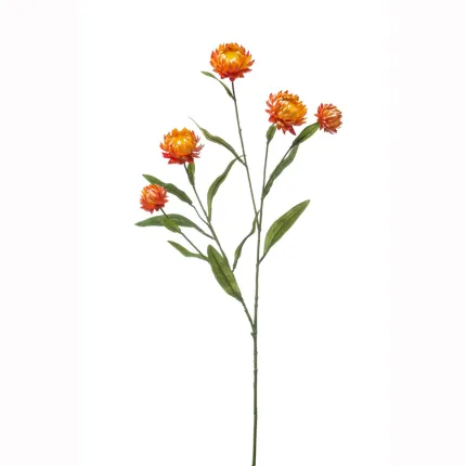 IMMORTELLE sèche artificielle ou IMMORTELLE italienne artificielle 70 cm orange