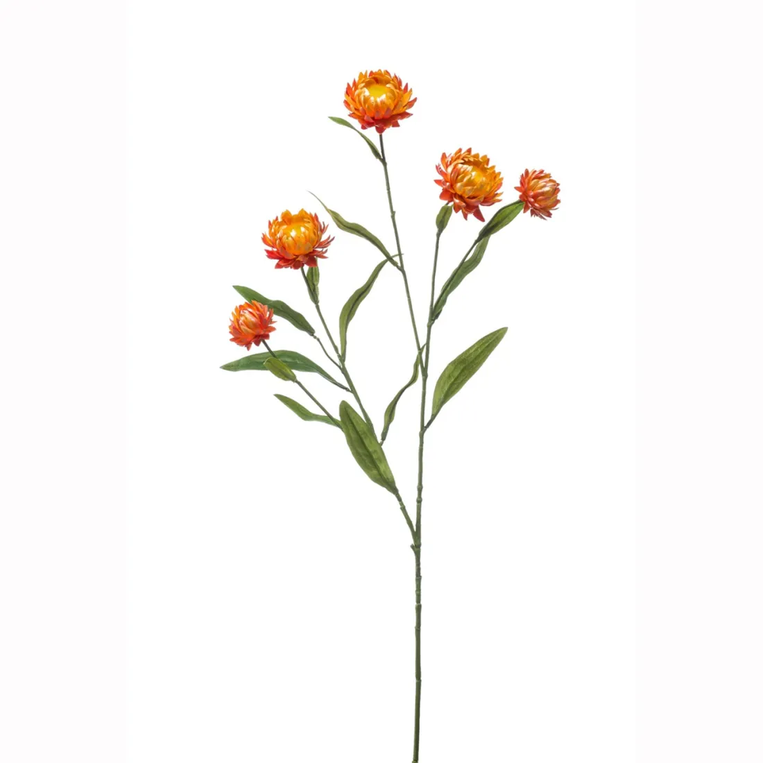 IMMORTELE à bractée artificielle ou XEROCHRYSUM artificiel 70 cm orange