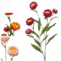 IMMORTELLE à bractée artificielle ou XEROCHRYSUM artificiel 70 cm - 3 couleurs