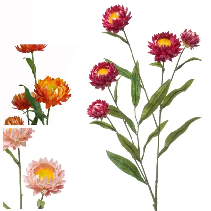 IMMORTELLE à bractée artificielle ou XEROCHRYSUM artificiel 70 cm - 3 couleurs