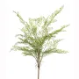 FOUGERE CAPILLAIRE artificielle ou Adianthum 75 cm