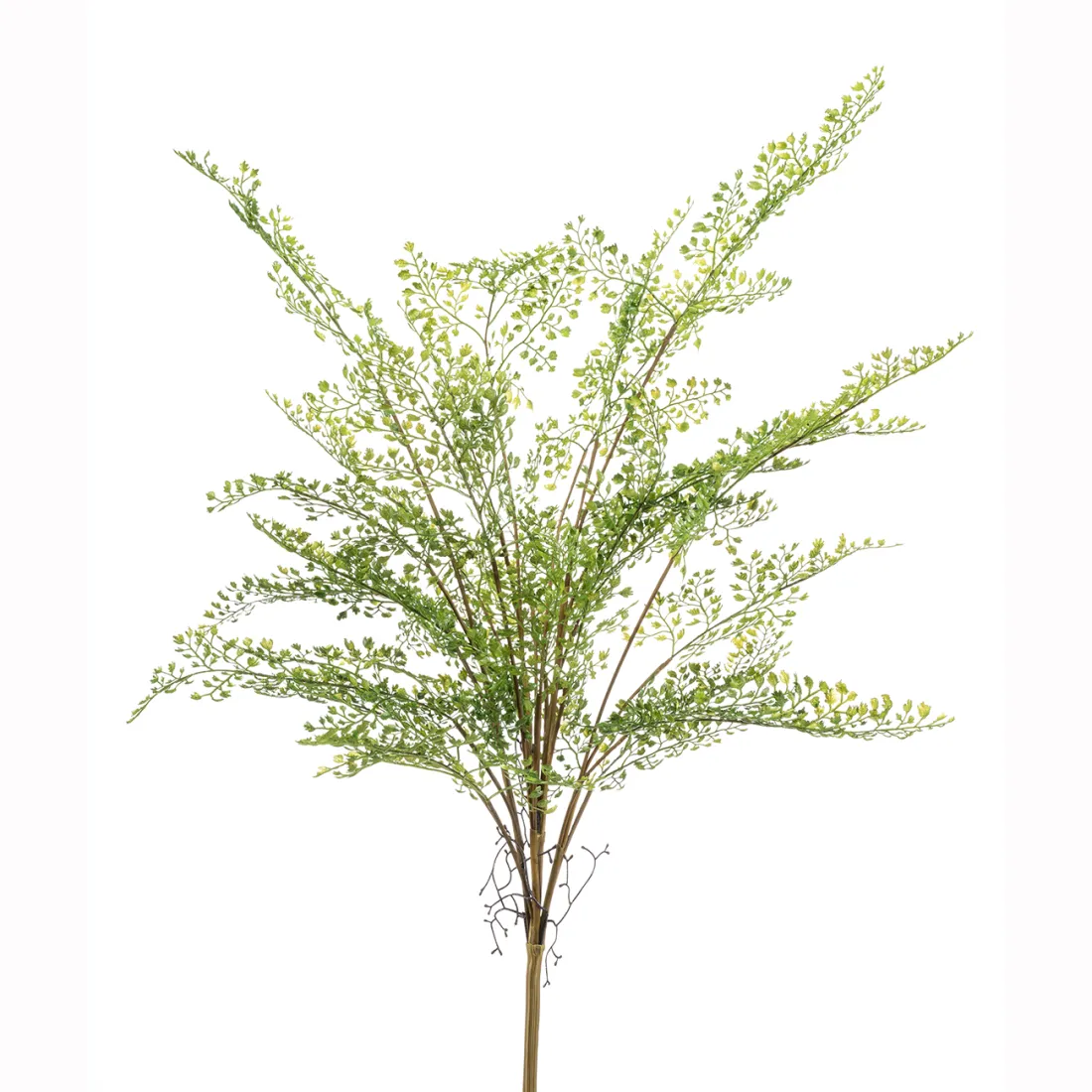 FOUGERE CAPILLAIRE artificielle ou Adianthum 75 cm