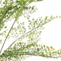 FOUGERE CAPILLAIRE artificielle ou Adianthum 75 cm