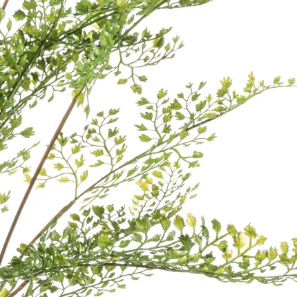 FOUGERE CAPILLAIRE artificielle ou Adianthum 75 cm