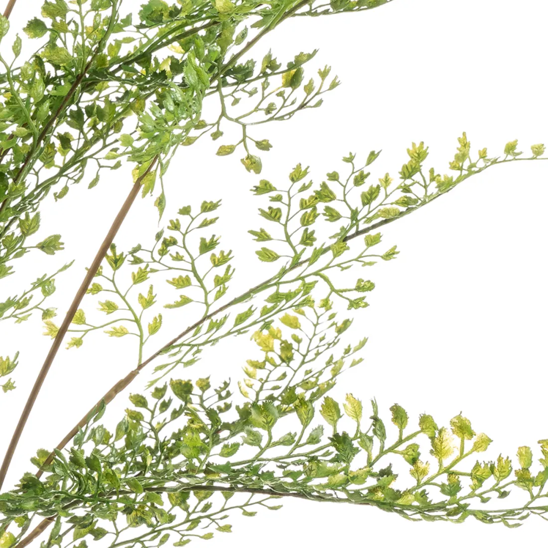 FOUGERE CAPILLAIRE artificielle ou Adianthum 75 cm