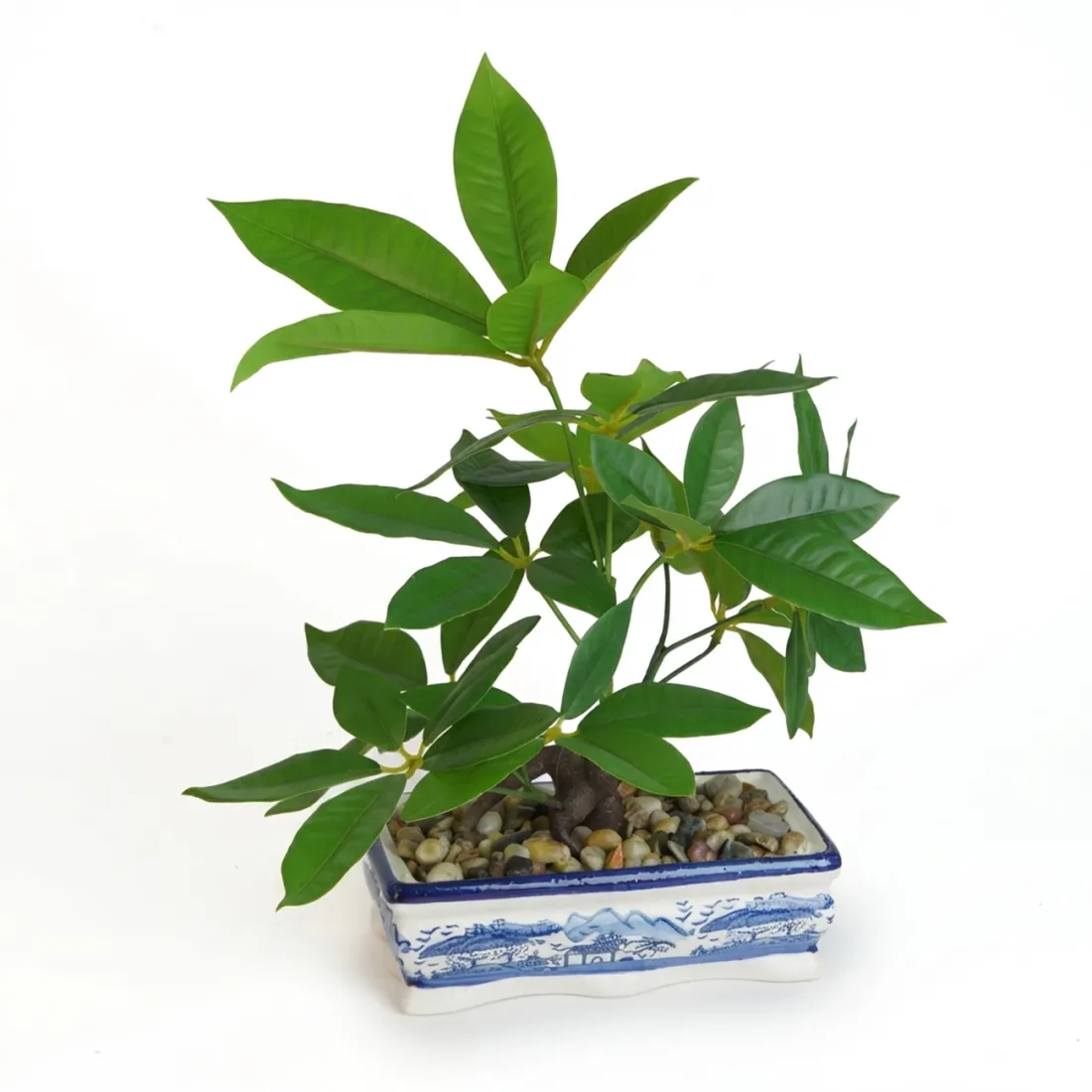 BONSAI pachira artificiel  40 cm