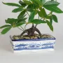 BONSAI pachira artificiel  40 cm - pot