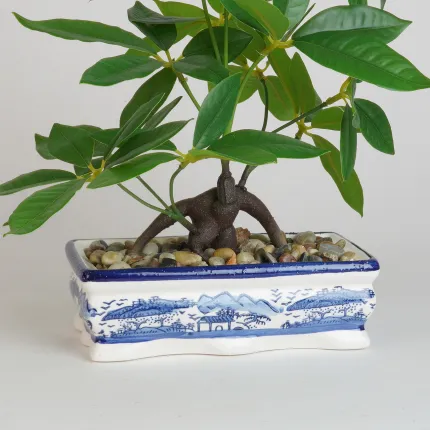 BONSAI pachira artificiel  40 cm - pot