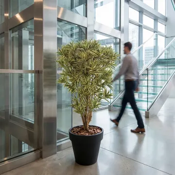 DRACENA artificiel (ou DRACAENA) JAMAICA 145 cm