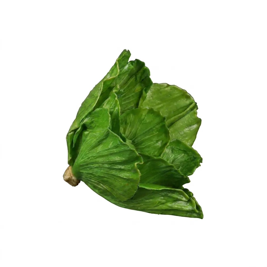 CHOU artificiel  16 cm - de profil