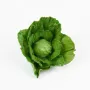 CHOU artificiel  16 cm