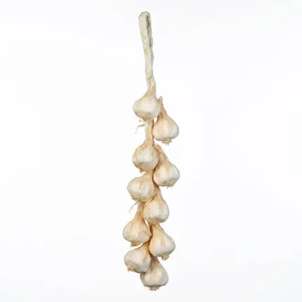 Tresse d'ail artificiel 50 cm