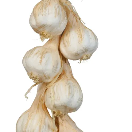 Tresse d'ail artificiel 50 cm - détail