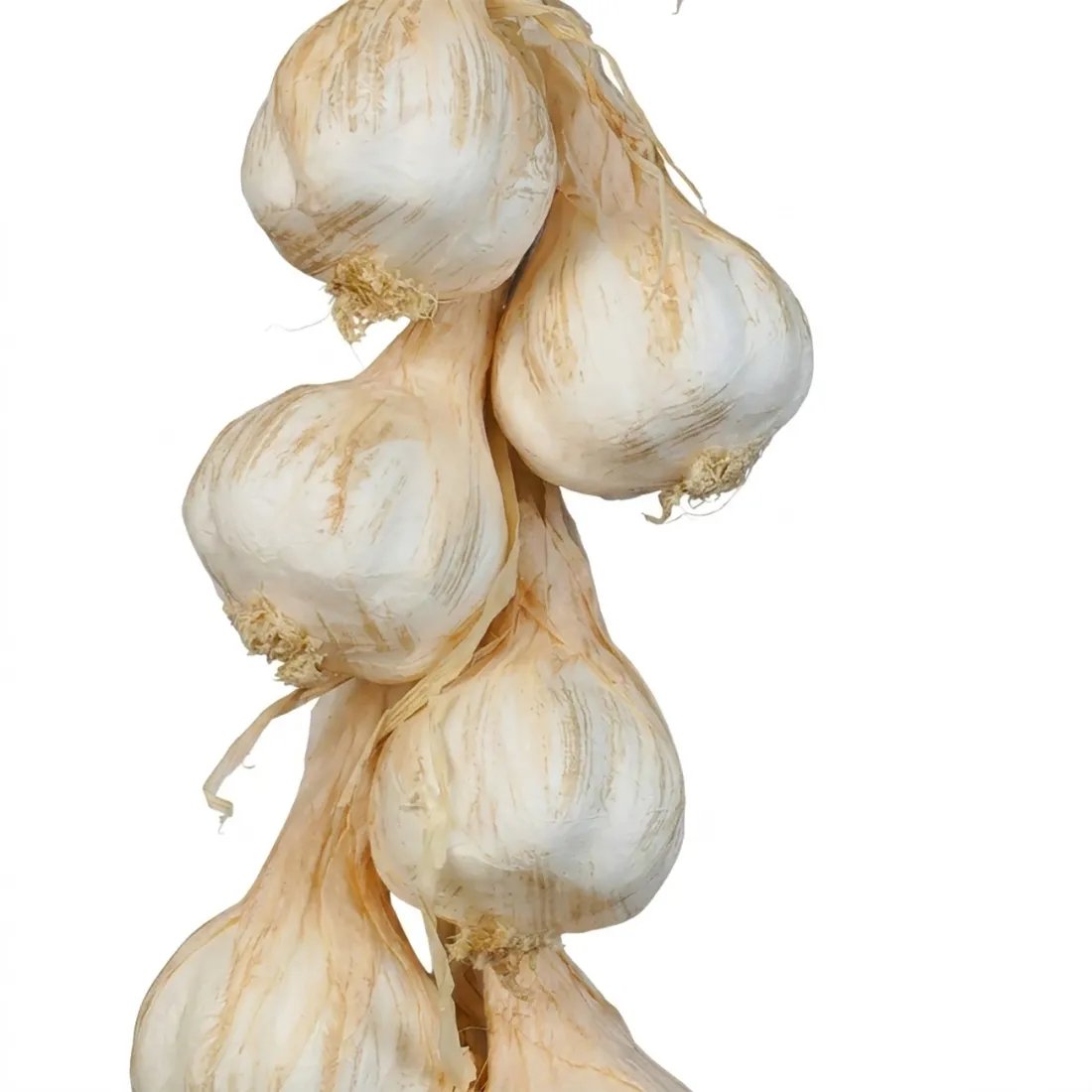 Tresse d'ail artificiel 50 cm - détail