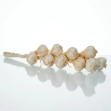 Tresse d'ail artificiel 50 cm - posée surface vitre