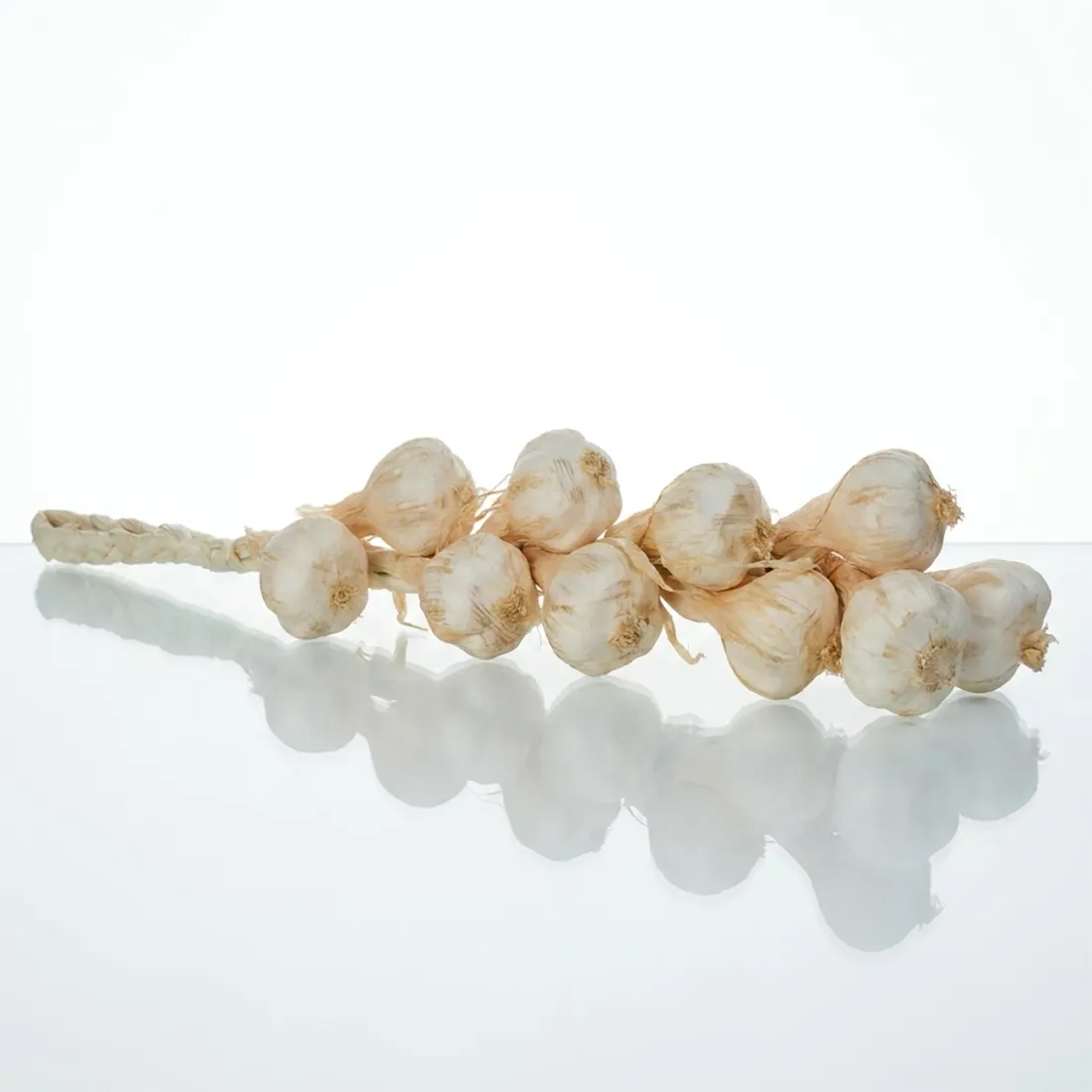 Tresse d'ail artificiel 50 cm - posée surface vitre