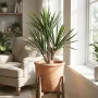 YUCCA artificiel BABY 68cm