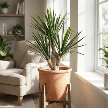 YUCCA artificiel BABY 68 cm