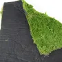 Plaque de mousse artificielle fibreuse 100cm x 100cm
