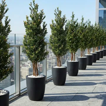 BUIS artificiel buisson conique 160 cm dans pot meti sur une terrasse