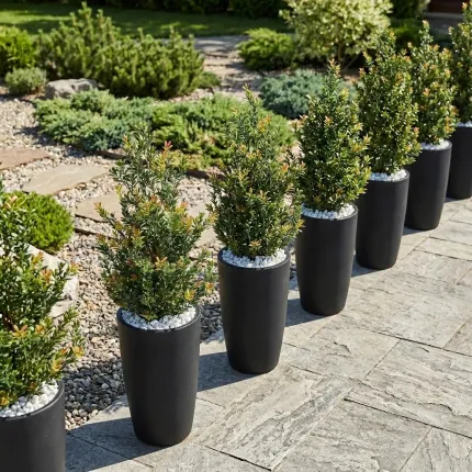 BUIS artificiel buisson conique 100 cm dans pot meti dans un jardin