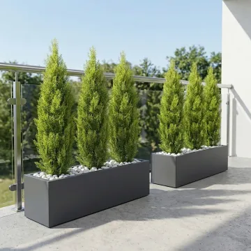 CYPRES artificiel MINI  60 et 125 cm sur une terrasse