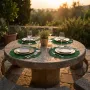 set de table feuille nenuphar diam 40 cm