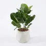 LYRATA artificiel (figuier)  44 cm anti feu dans un pot déco