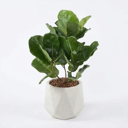 LYRATA artificiel (figuier)  44 cm anti feu dans un pot déco