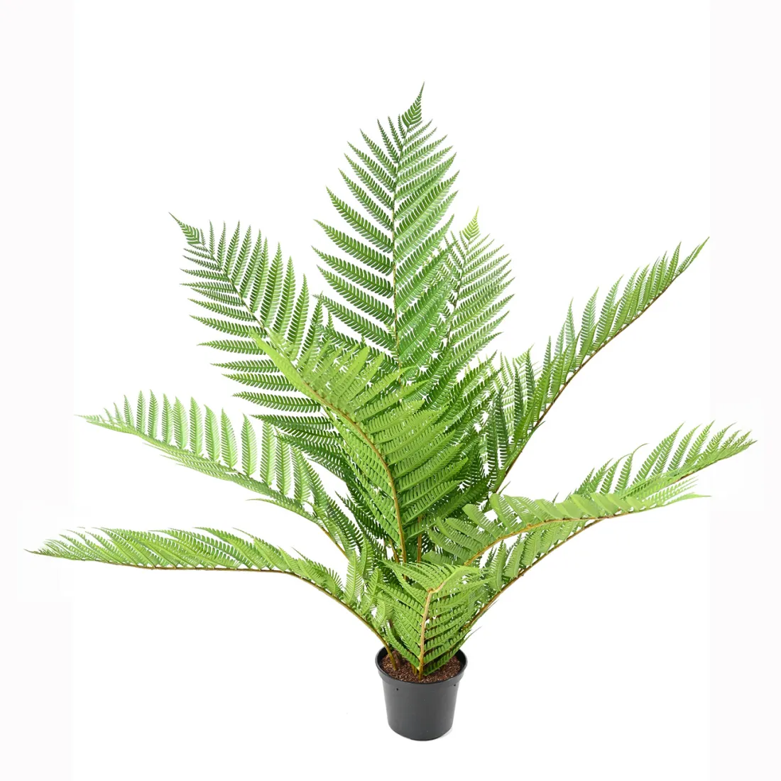 FOUGERE ALSOPHILA artificielle plast en pot 55 cm