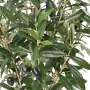 OLIVIER artificiel buisson en pot 65 cm et olives